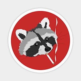 Raccoon Smoking Magnet